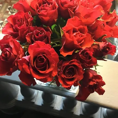 ゲストハウス Martins 3*