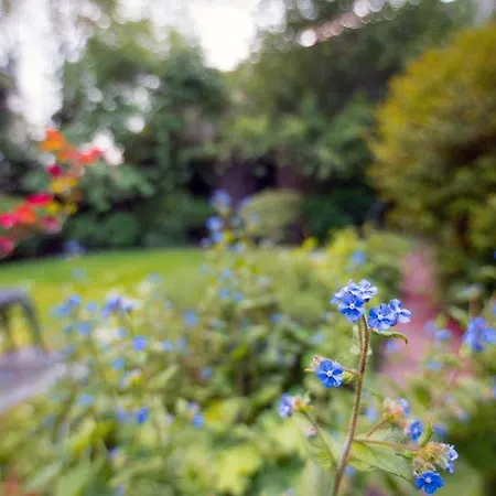 Pensionat West End Edinburg