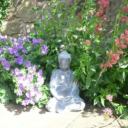 Nocleg ze śniadaniem Panda 4*