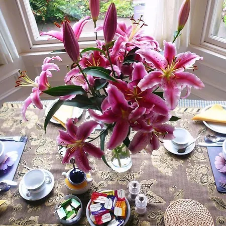 Panda Bed & Breakfast Edinburgh