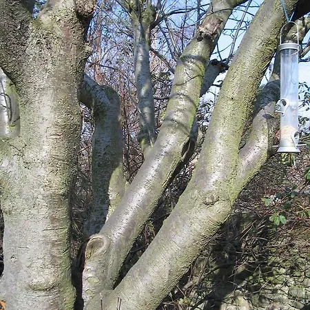 Pensionat A-haven Townhouse 3*