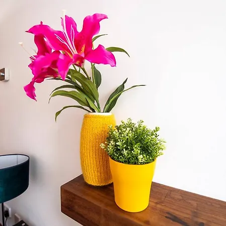 Charming And Quiet Mews House Appartement *