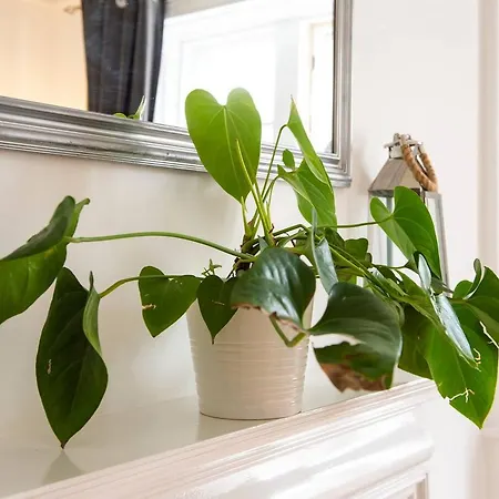 Victorian In Lively Marchmont Apartament *