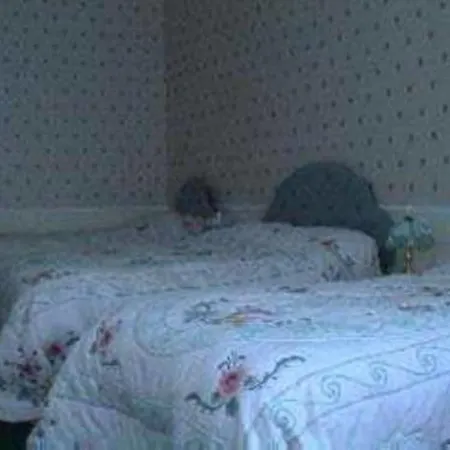 Capital House Guest house Edinburgh