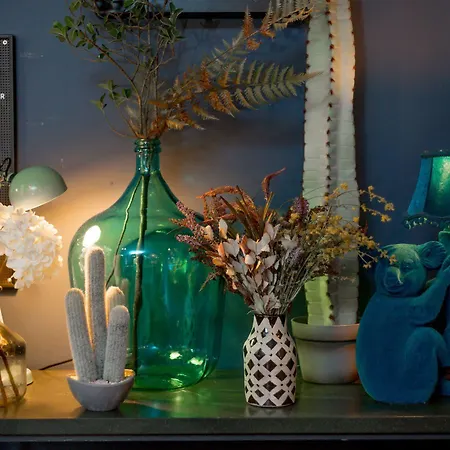 Vandrerhjem The Baxter *