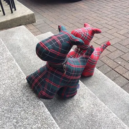 The Ben Doran Pensionat Edinburg