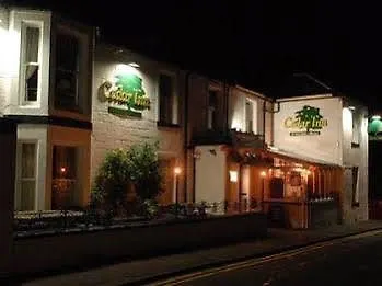 Cedar Inn 3*