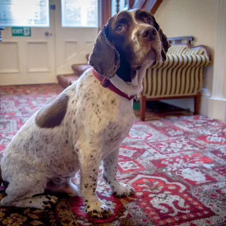 Kingsley Guest House