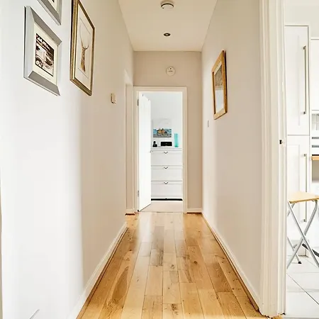 Joivy Bright Royal Mile