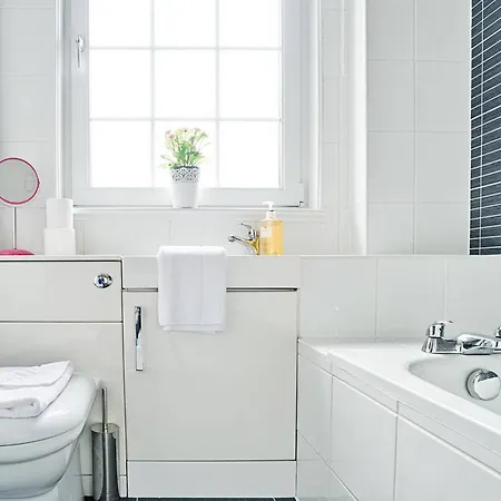 Joivy Bright Royal Mile