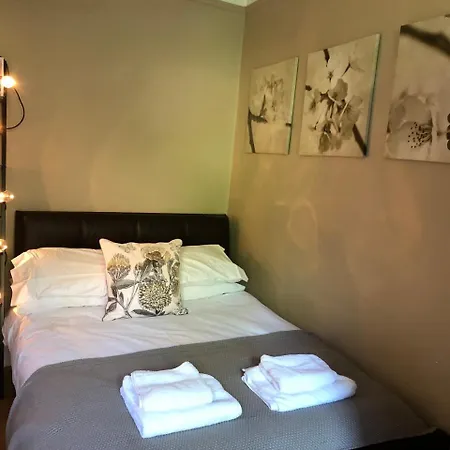 Bright Modernised Flat In Watson Cresent *