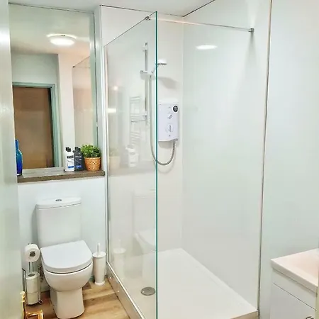 Daire The Wee Highland Coo