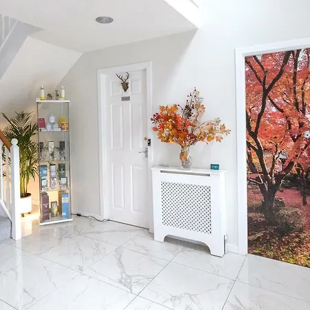 Justb 4* Edimburgo