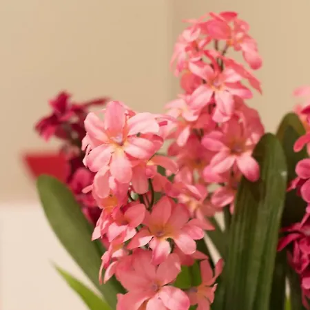 Montgomery - Crighton