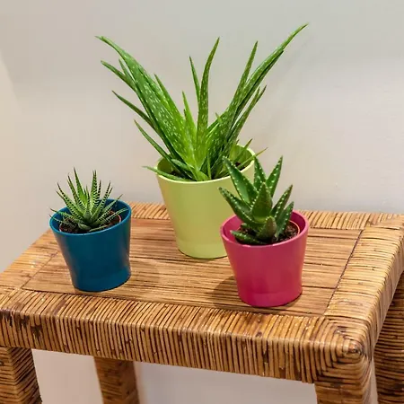 Apartment The Tollcross Edinburgh