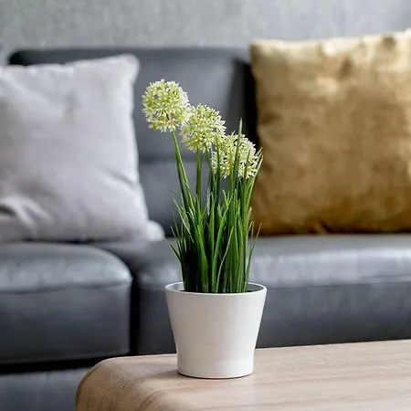 Apartment Modern & Renovated Royal Mile Apt Edinburgh