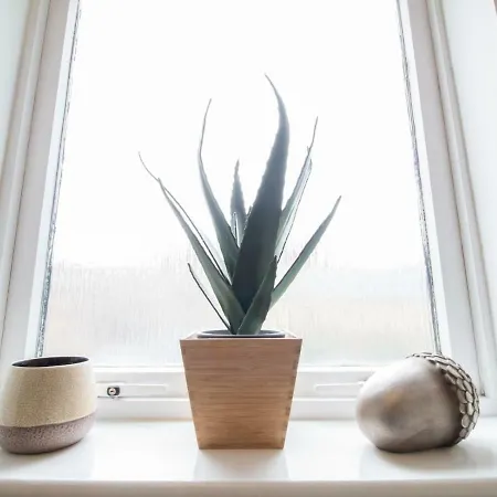 Bright & Tranquil Near Centre With Free Parking! * Edinburgh