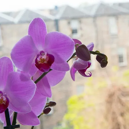 Boutique City Centre 1 Bed Edinburgh