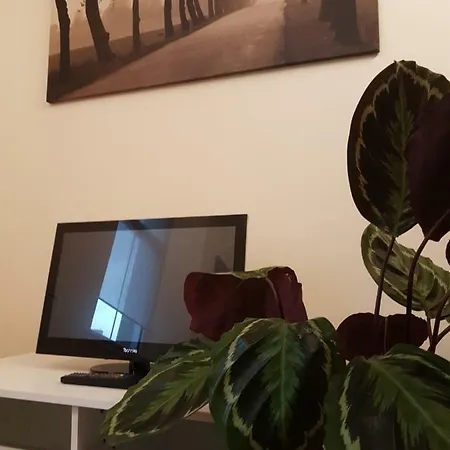 Cosy Flat On Leith Walk Appartement Edinburgh
