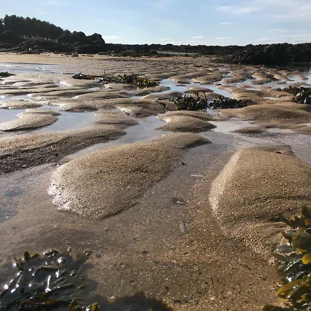 Appartement Cozy With Character Vibrant Style Flat At Leith Links Park *