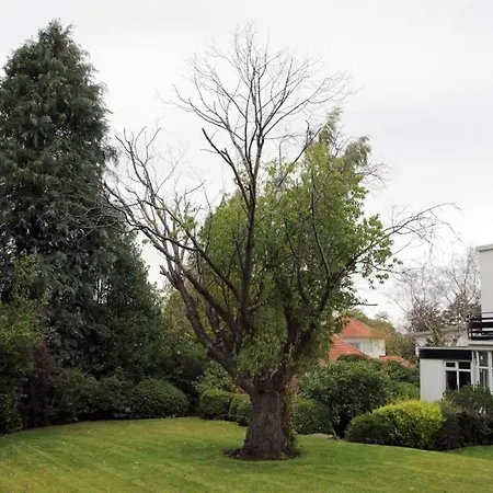Detached House With Gardens * Edimburgo