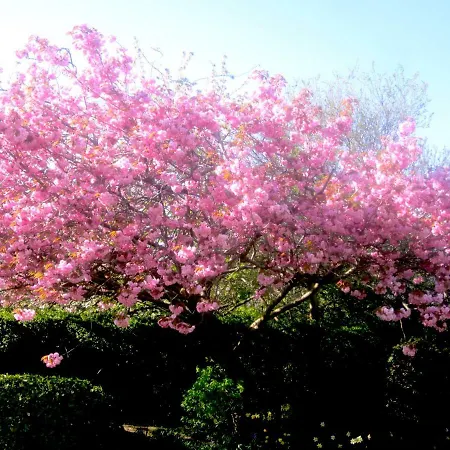 Maison d'hôtes The White House Édimbourg