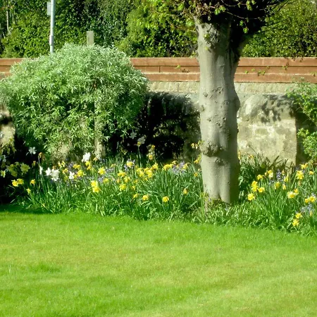 The White House Maison d'hôtes *