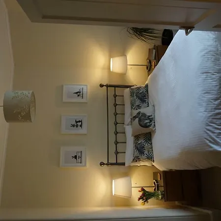 Comfortable Central West End *