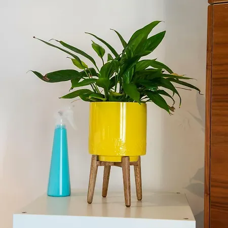 Modern Flat With Fantastic Views By The Royal Mile *