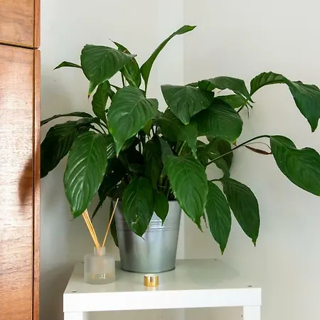 Modern Flat With Fantastic Views By The Royal Mile Appartement