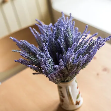 Apartment Spacious & Unique 1 Bed With Wifi Edinburgh