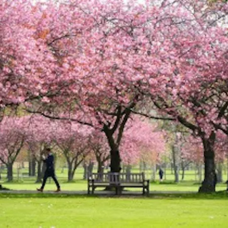 Διαμέρισμα The Meadows Retreat *
