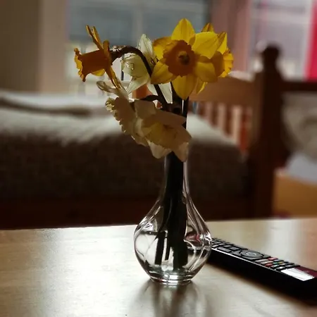 Stead's Edinburgh