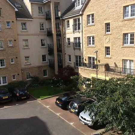 20/5 Timber Bush