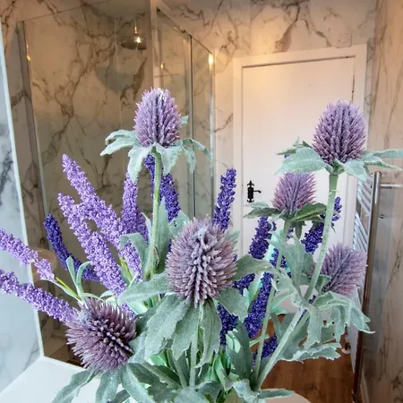 Cadell House - Royal Mile * Эдинбург