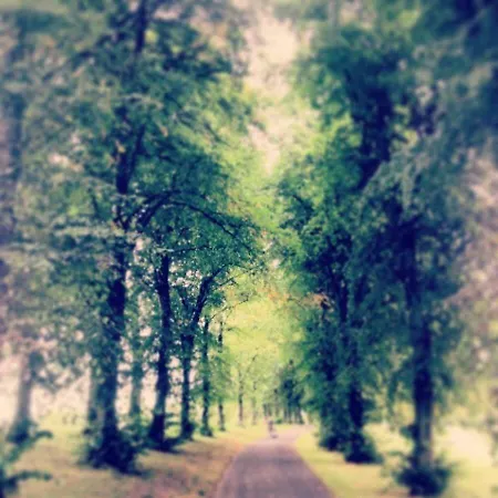 5 Star Beautiful & Vintage, Spacious In Chic Location! * Edinburgh