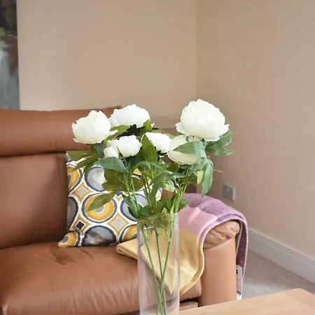 Lovely 3br In Beautiful Green Surroundings