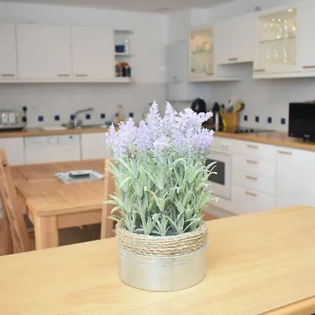 Lovely 3br In Beautiful Green Surroundings Edinburgh