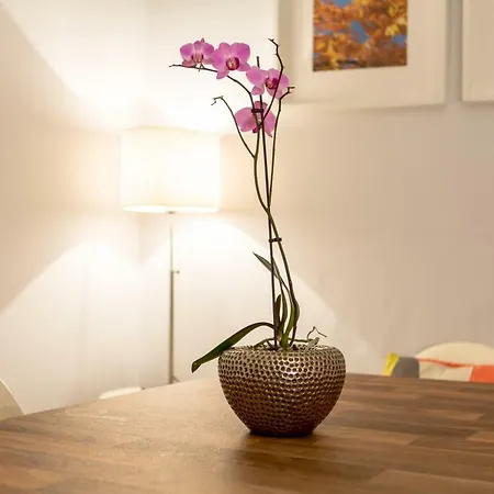Apartment Scottish Stays - 1 Bedroom Flat In The Heart Of Leith