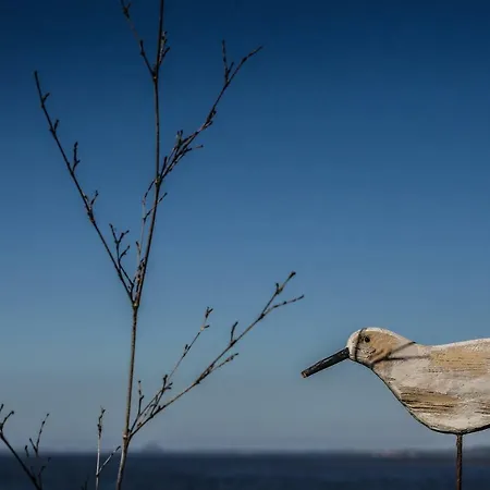 Ark At Anchor Apartment Edinburgh