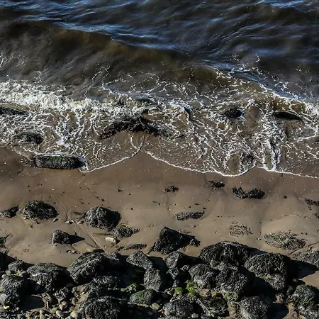 Ark At Anchor Appartement *