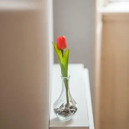 Apartment Edina * Bright City Centre *