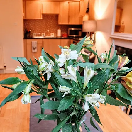 Apartment 1 Bedroom In Edinburgh