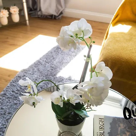 Apartment Love Leith - City Centre - Free Parking