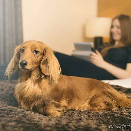 Apart Otel Fountain Court - Harris 4*