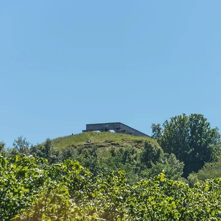 Gayfield Place بيت للعطل *