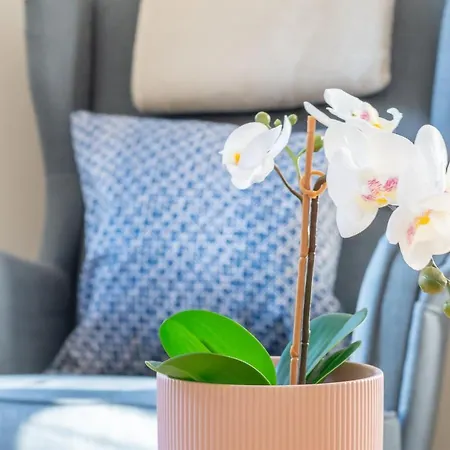 The Waverley Park Terrace Edinburgh