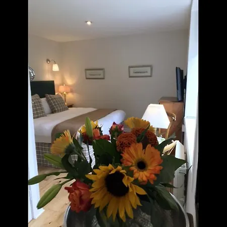 ゲストハウス Martins