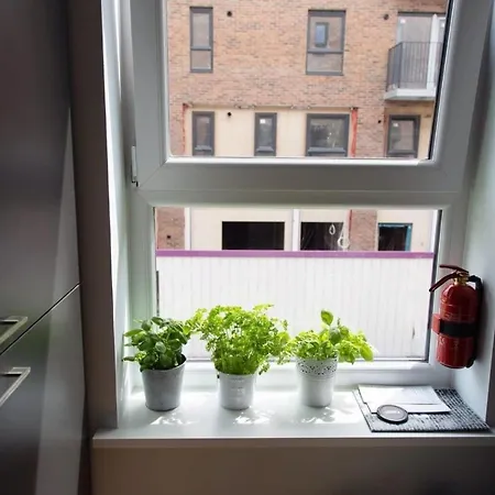 Studio Flat With Free Parking