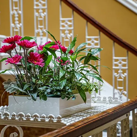 Guest house Adria House 3*